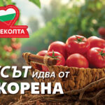 Kaufland_RodenVkus_09JUNE2025