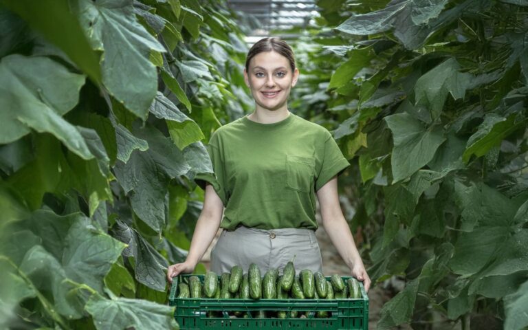 Proizvoditel Greens OOD_Kaufland