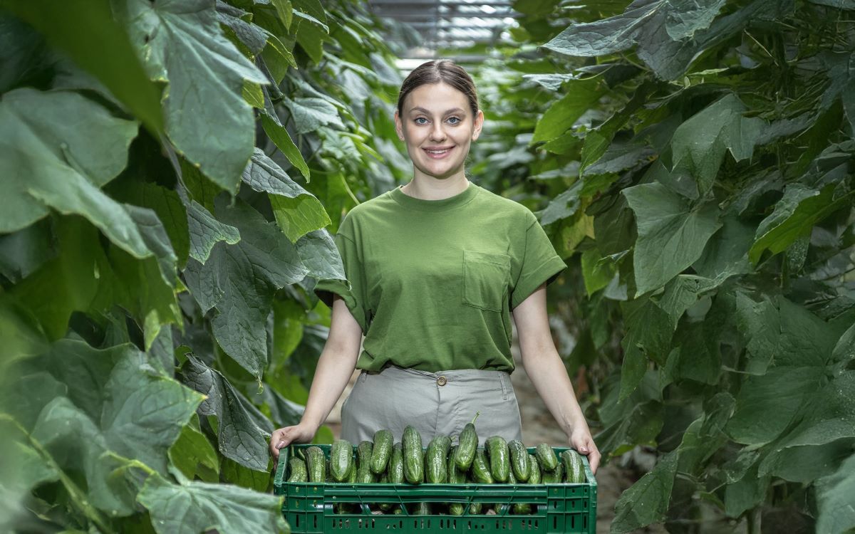 Proizvoditel Greens OOD_Kaufland